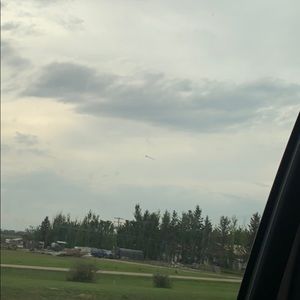 Meet your Posher, Lily